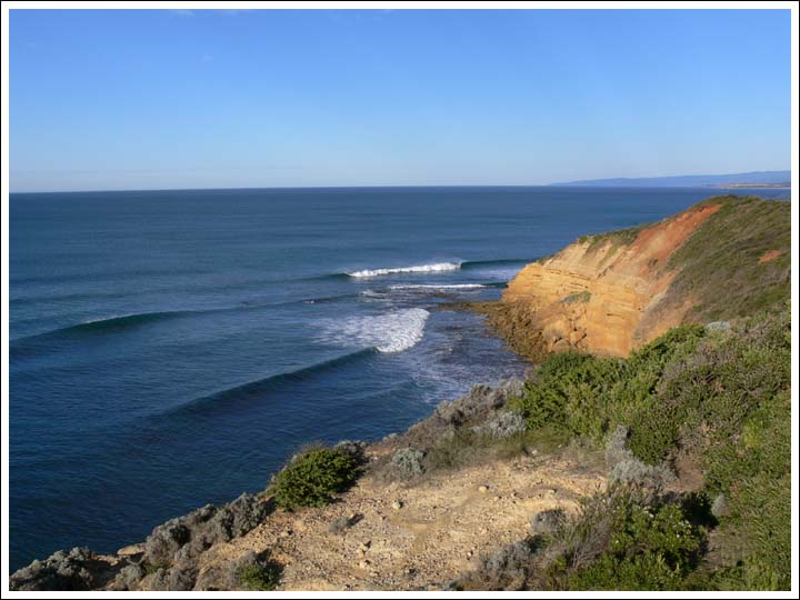 Point Addis view.
A great place for Albatross watching and the Rufous Bristlebird.
